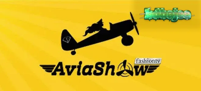 Aviashow গেমের ইন্টারফেস এবং মাল্টিপ্লায়ার ডিসপ্লে